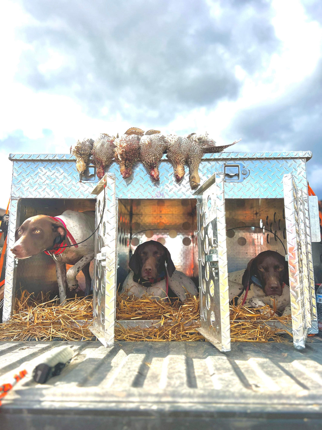 Three hole dog box